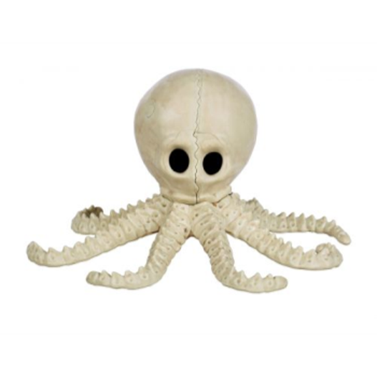 Image sur 7.5" CUTE OCTOPUS SKELETON