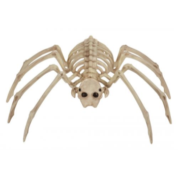 Picture of 13.75" SPIDER SKELETON