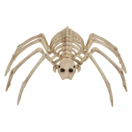 Image sur 13.75" SPIDER SKELETON