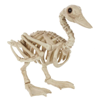 Picture of 7" LARGE DUCK SKELETON