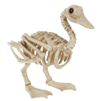 Image de 7" LARGE DUCK SKELETON