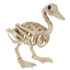 Picture of 7" LARGE DUCK SKELETON