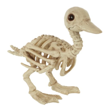 Image de 8" SMALL DUCK SKELETON