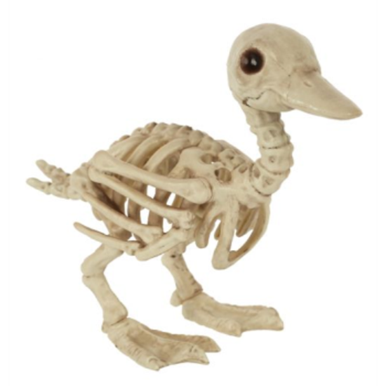 Picture of 8" SMALL DUCK SKELETON