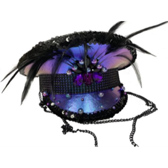 Image sur FESTIVAL HAT - PURPLE WITH FEATHER