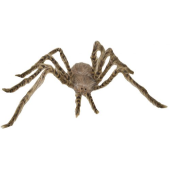 Picture of 40" LIGHT BROWN SPIDER