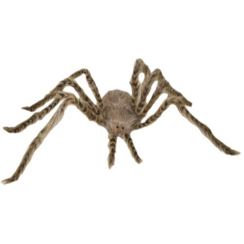 Image de 40" LIGHT BROWN SPIDER