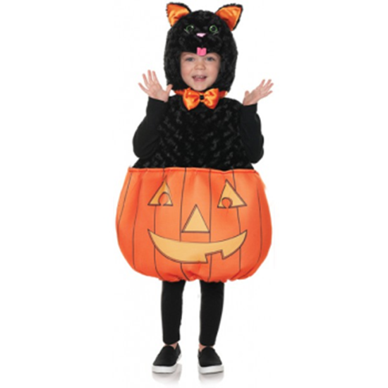 Image sur CAT IN PUMPKIN - TODDLER ( 18-24 MONTHS )