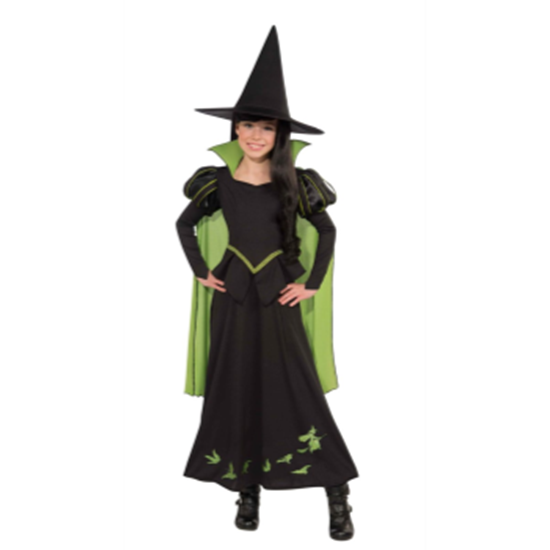 Picture of WICKED WITCH OF THE WEST - CHILD LARGE