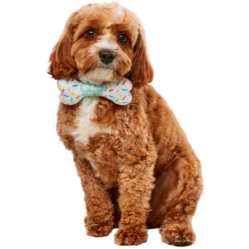 Picture of PARTY COLLAR BOW-NE - DOG MEDIUM/LARGE