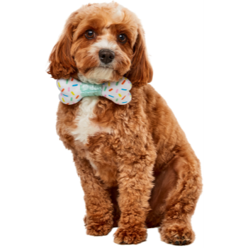 Image de PARTY COLLAR BOW-NE - DOG SMALL/MEDIUM