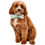 Picture of PARTY COLLAR BOW-NE - DOG SMALL/MEDIUM