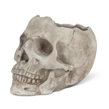Picture of DECOR - SKULL PLANTER  - LARGE