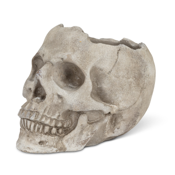 Image de DECOR - SKULL PLANTER  - LARGE