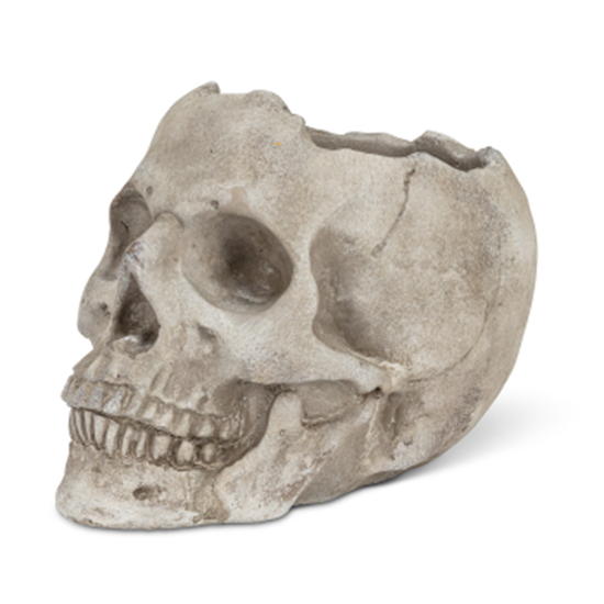 Image sur DECOR - SKULL PLANTER  - LARGE