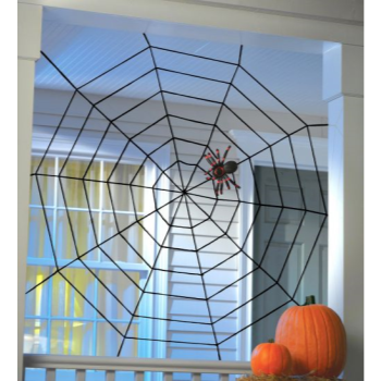 Image de SPIDER WEB ROPE - 5'