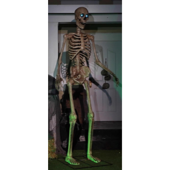 Image de TOWERING SKELETON WITH PROJECTION EYE - 8'