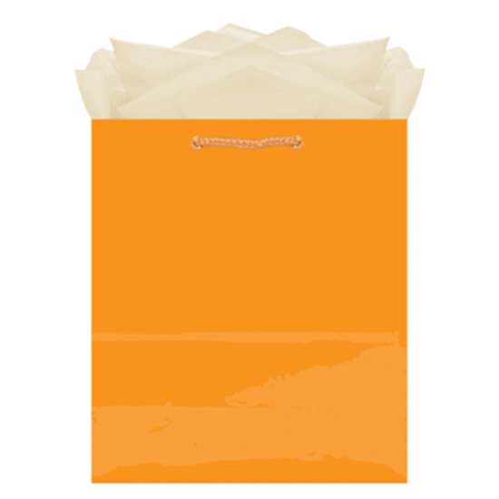 Image sur GLOSSY MEDIUM BAG - ORANGE