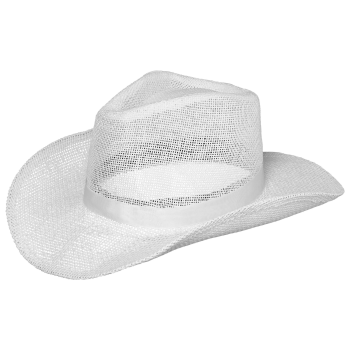 Image de COWBOY HAT - WHITE