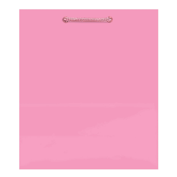 Image de GLOSSY MEDIUM BAG - NEW PINK