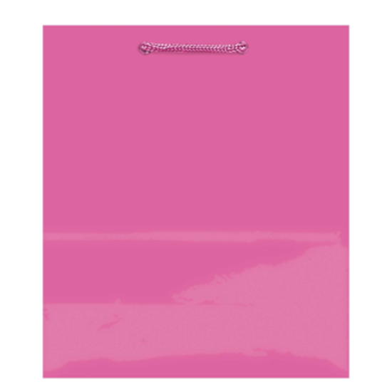 Image sur GLOSSY MEDIUM BAG - BRIGHT PINK