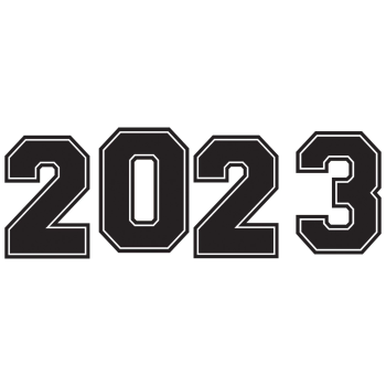 Picture of DECOR - 2023 GIANT YARD STAKE - WHITE