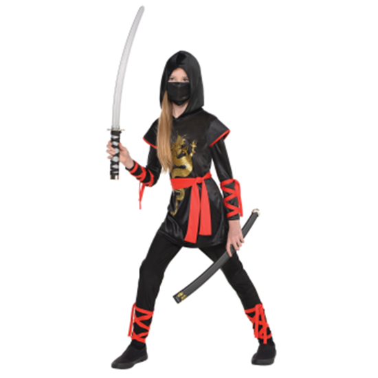 Picture of DRAGON NINJA - GIRL LARGE