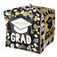 Image de 16'' FOIL - GRAD DOTS CUBEZ