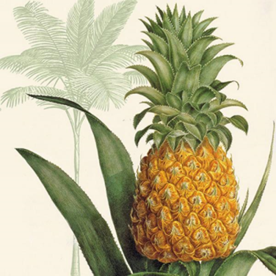 Picture of PINEAPPLE - LUNCHEON NAPKINS