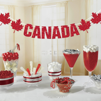 Picture of CANADA GLITTER LETTER BANNER