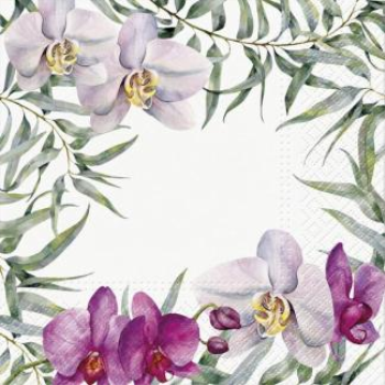 Picture of ORCHIDS - LUNCHEON NAPKINS