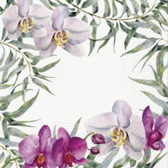 Image sur ORCHIDS - LUNCHEON NAPKINS