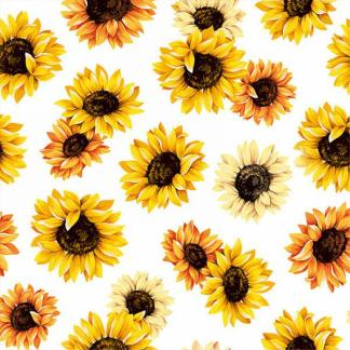 Picture of SUNFLOWERS - LUNCHEON NAPKINS