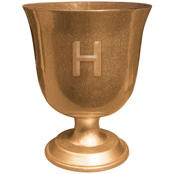 Picture of Harry Potter Hogwarts United Goblet
