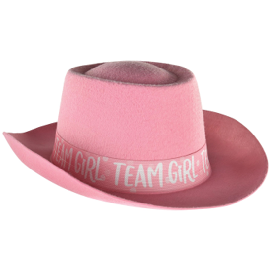 Picture of WEARABLES - Gender Reveal Felt Hat - Girl