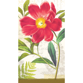 Picture of BOTANICAL PEONY GT - 16CT ECO