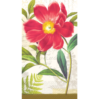 Image de BOTANICAL PEONY GT - 16CT ECO