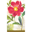 Image de BOTANICAL PEONY GT - 16CT ECO
