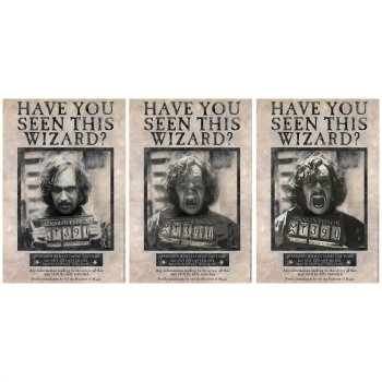 Image de Harry Potter Sirius Black Lenticular 12"x18"