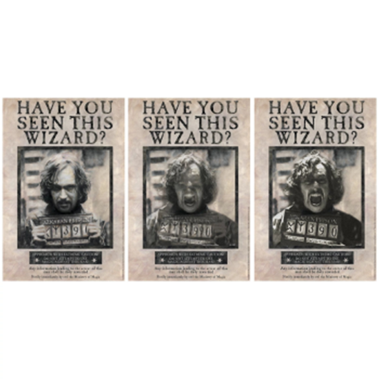 Image sur Harry Potter Sirius Black Lenticular 12"x18"