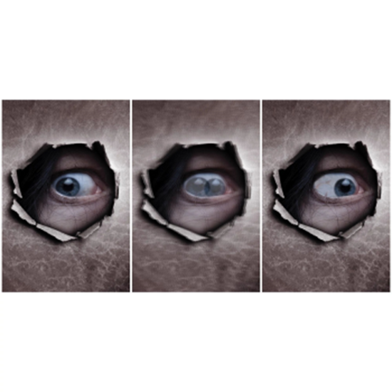 Image sur Decor - Eyes On You Lenticular 12"x18"
