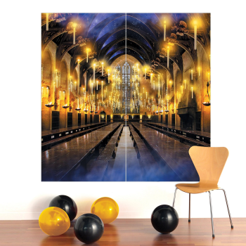 Image de Harry Potter 2 Piece Back Drop