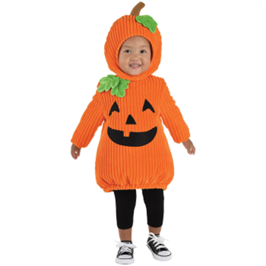 Picture of Pumpkin Patch Cutie - 2T