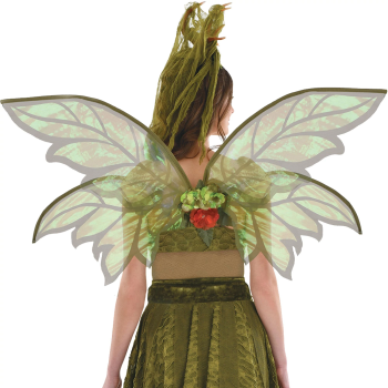 Image de WINGS - Woodland Wings