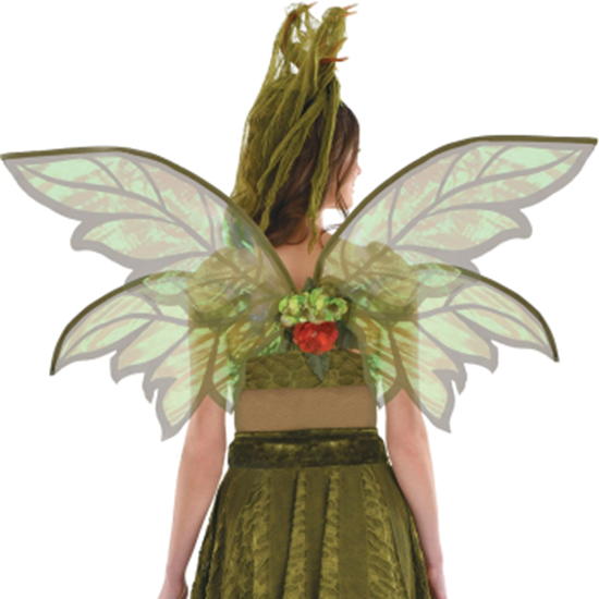 Image sur WINGS - Woodland Wings
