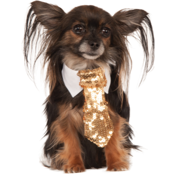 Image de GOLD SEQUIN TIE - MEDIUM/LARGE