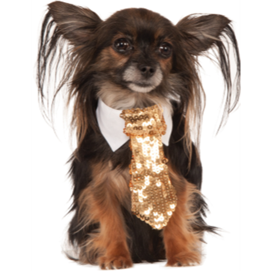 Picture of GOLD SEQUIN TIE - MEDIUM/LARGE