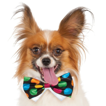 Image de POLKA DOT BOWTIE - MED/LARGE