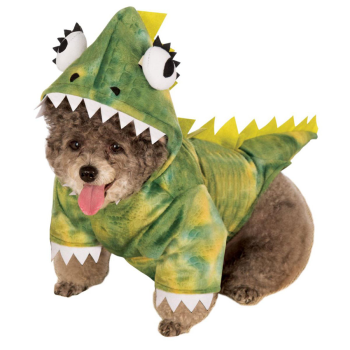 Image de DINOSAUR GREEN COSTUME - LARGE