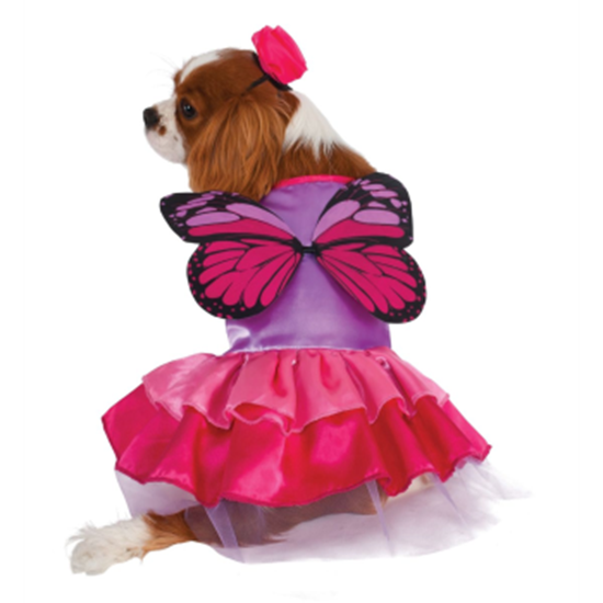 Image sur FAIRY COSTUME - SMALL